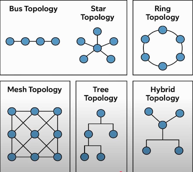 Topology